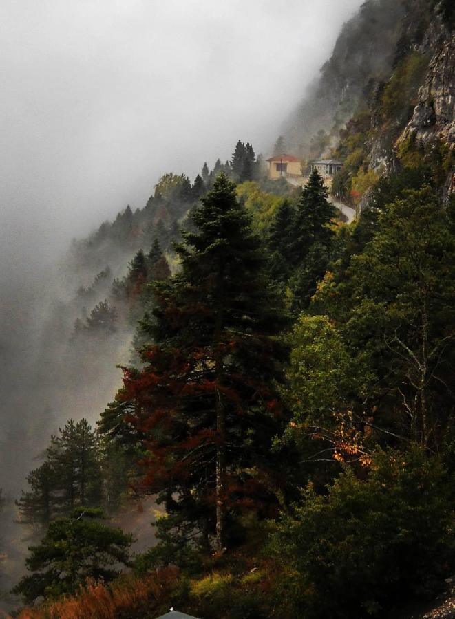 Χenonas Ziakos Hotel Amárantos Buitenkant foto